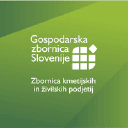 Logo podjetja ai4si (AI for Slovenia)